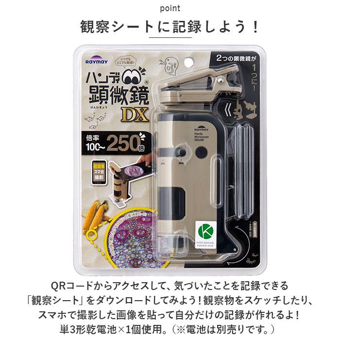 ☆みらい☆ Greetings From Tokyo : 鈴木みらい | HMV&BOOKS online