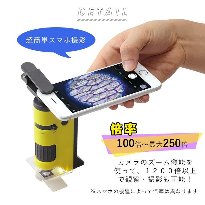 顕微鏡 スマホで撮影 通販 自由研究 子供 スマホ 写真 ハンディ