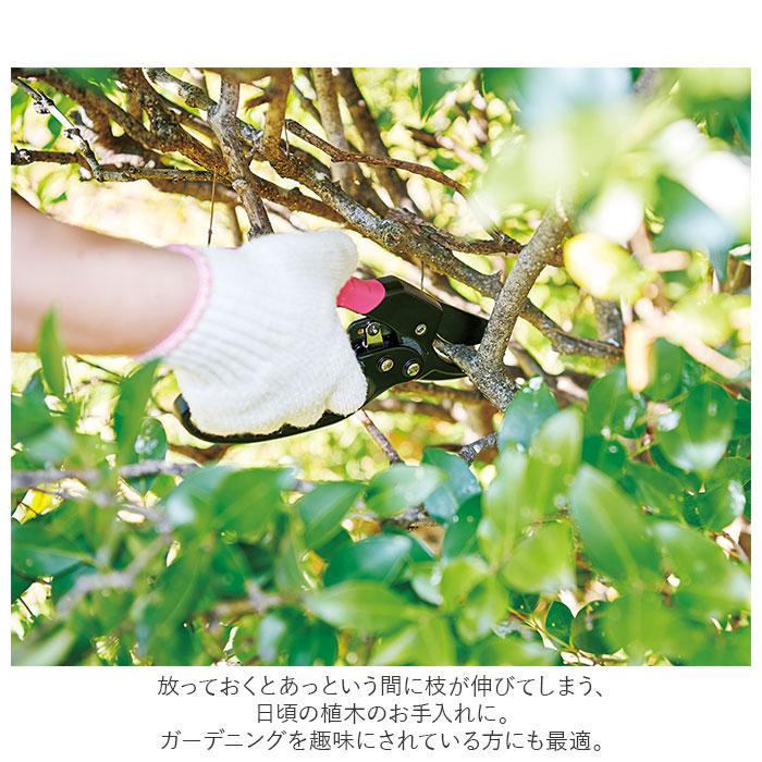 剪定ばさみ ラチェット式 通販 剪定バサミ 剪定 ハサミ はさみ 剪定鋏