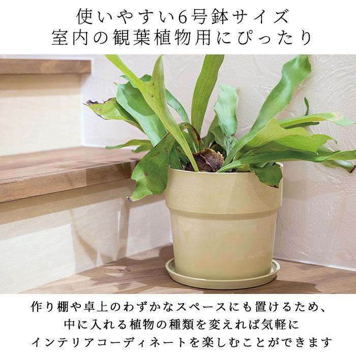 POSH LIVING（ポッシュリビング） 植木鉢 おしゃれ プラスチック 6号