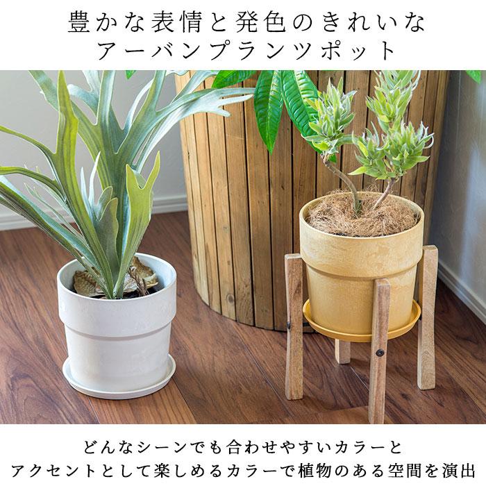 BACKYARD FAMILY（バックヤードファミリー） プラスチック おしゃれ