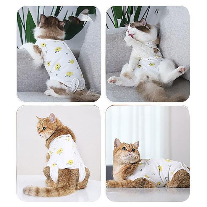 猫 術後服 通販 服 ねこ 傷舐め防止 手術後 エリザベスカラー の代用 洋服 ウェア 術後ウェア 皮膚保護 s m l xl サイズ つなぎ ロンパース かわいい :21y0070m:BACKYARD FAMILY ママタウン - 通販 - Yahoo!ショッピング 猫 術後服 通販 服 ねこ 傷舐め防止 手術後 エリザベスカラー の代用 洋服 ウェア 術後ウェア 皮膚保護 s m l xl サイズ つなぎ ロンパース かわいい :21y0070m:BACKYARD FAMILY ママタウン - 通販 - Yahoo!ショッピング