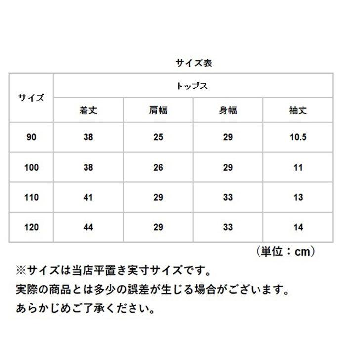 パジャマ キッズ 半袖 通販 男の子 女の子 90 100 110 120 サイズ 綿100% 夏 恐竜 tシャツ コットン ルームウェア 上下セット 可愛い 子供服 子ども パジャマ |  | 15