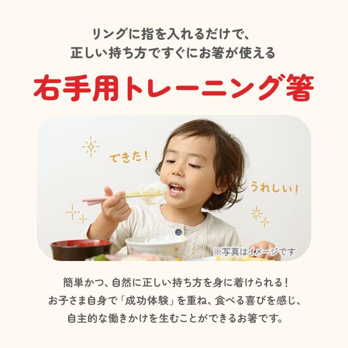 お箸 通販お箸 子供用 おはし おけいこ 持ち方 キッズ 子供 トレーニング 矯正箸 練習 子供用お箸 スケーター キャラクター 右手用 しつけ箸 女の子 男の子 お箸 | スケーター | 08