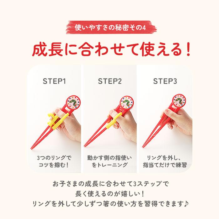 お箸 通販お箸 子供用 おはし おけいこ 持ち方 キッズ 子供 トレーニング 矯正箸 練習 子供用お箸 スケーター キャラクター 右手用 しつけ箸 女の子 男の子 お箸 | スケーター | 14