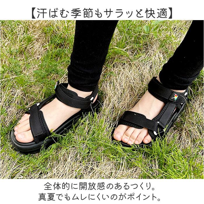 アーノルドパーマー サンダル Arnold Palmer AL5303 キッズ ストラップサンダル スポーツサンダル テープスポーツサンダル 履きやすい 靴  アーノルドパーマー | Arnold Palmer | 08