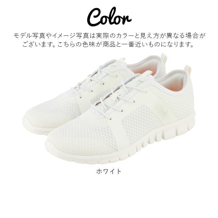 アーノルドパーマー 通販アーノルドパーマー スニーカー レディース おしゃれ メッシュ Arnold Palmer AN0901 ローカット シンプル 軽量 白 アーノルドパーマー |  | 09