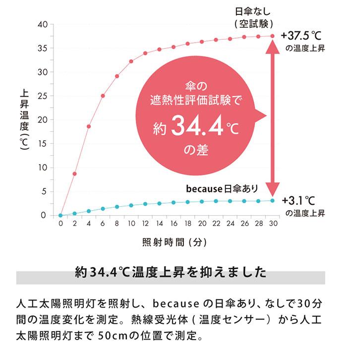 ビコーズ because 長傘 通販 晴雨兼用 晴雨兼用傘 長かさ 雨傘 かさ 傘 大きめ 55cm 55センチ 手開き レディース 女性 おしゃれ かわいい 大人 ビコーズ | because | 17