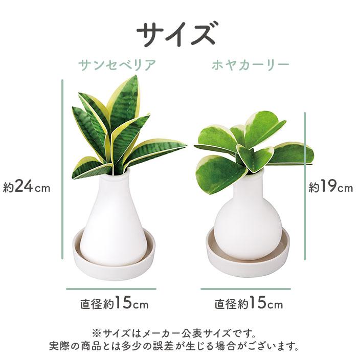 自然気化式 加湿器 かわいい 通販 卓上 気化式加湿器 小型 観葉植物 フェイクグリーン 卓上加湿器 気化式 オフィス おしゃれ 観葉加湿器 可愛い  自然気化式 | Beauwell | 14