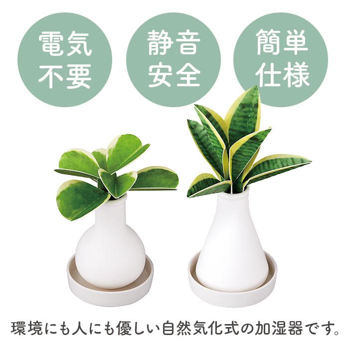 自然気化式 加湿器 かわいい 通販 卓上 気化式加湿器 小型 観葉植物 フェイクグリーン 卓上加湿器 気化式 オフィス おしゃれ 観葉加湿器 可愛い  自然気化式 | Beauwell | 04