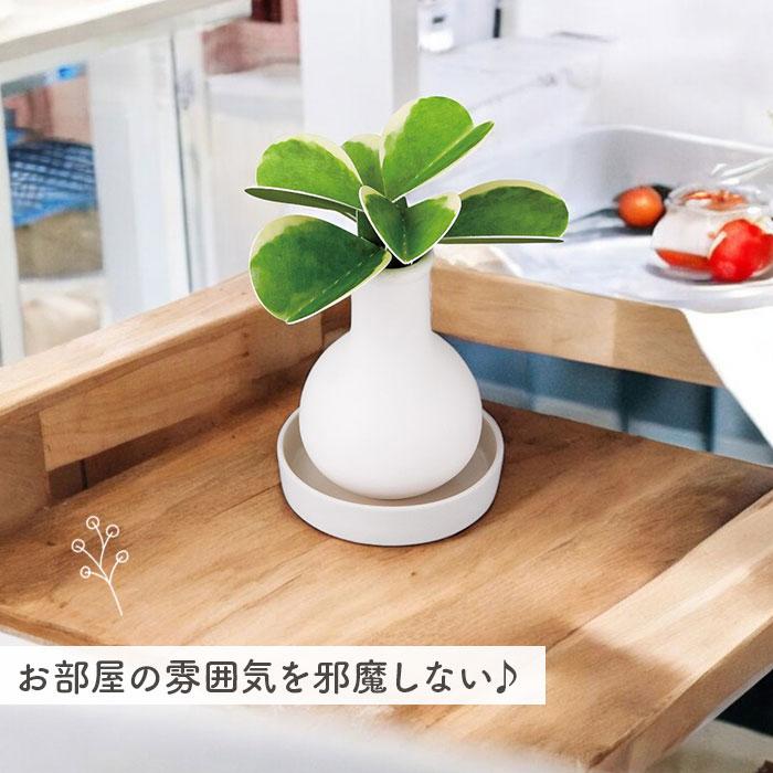 自然気化式 加湿器 かわいい 通販 卓上 気化式加湿器 小型 観葉植物 フェイクグリーン 卓上加湿器 気化式 オフィス おしゃれ 観葉加湿器 可愛い  自然気化式 | Beauwell | 08