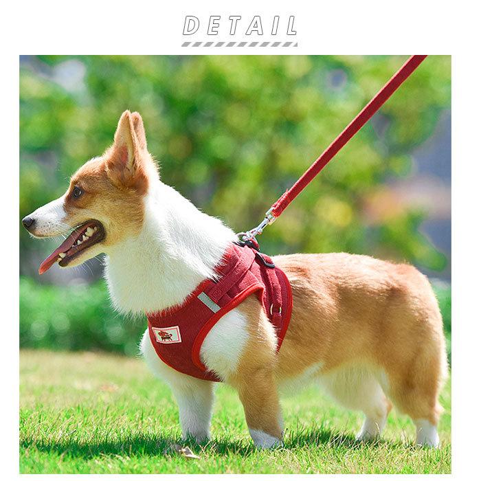 犬 リード ハーネス セット 通販 ドッグウェア 胴輪 小型犬 中型犬 ハーネスリード お散歩 服 イヌ 犬用 散歩 可愛い かわいい おしゃれ ペットグッズ Backyard Family 通販 Paypayモール