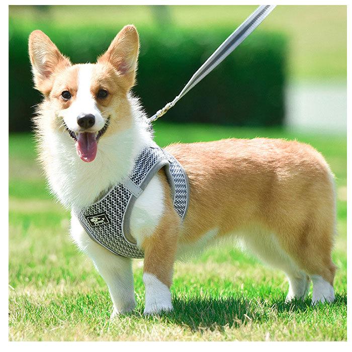 税込 犬 リード ハーネス セット 通販 ハーネスリード 小型犬 可愛い 胴輪 犬用 猫用 中型犬 大型犬 ペット用品 いぬ ねこ おしゃれ 散歩 反射 丈夫 シンプル1 159円 Whitesforracialequity Org