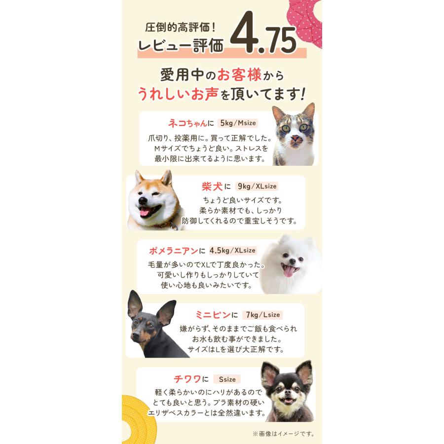 エリザベスカラー ソフト 通販 犬 猫 いぬ ねこ ネコ グッズ おしゃれ かわいい 柔らかい 中型犬 小型犬 術後 軽量 犬用 猫用 ドーナツ エリカラ 手術後 足舐め |  | 08