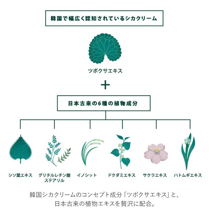 コジット COGIT コジット 保湿クリーム シカメソッド 通販 クリーム シカクリーム cicaクリーム 薬用クリーム スキンケア 乾燥 保湿 潤い 敏感肌 CICA 日本製 | COGIT | 07