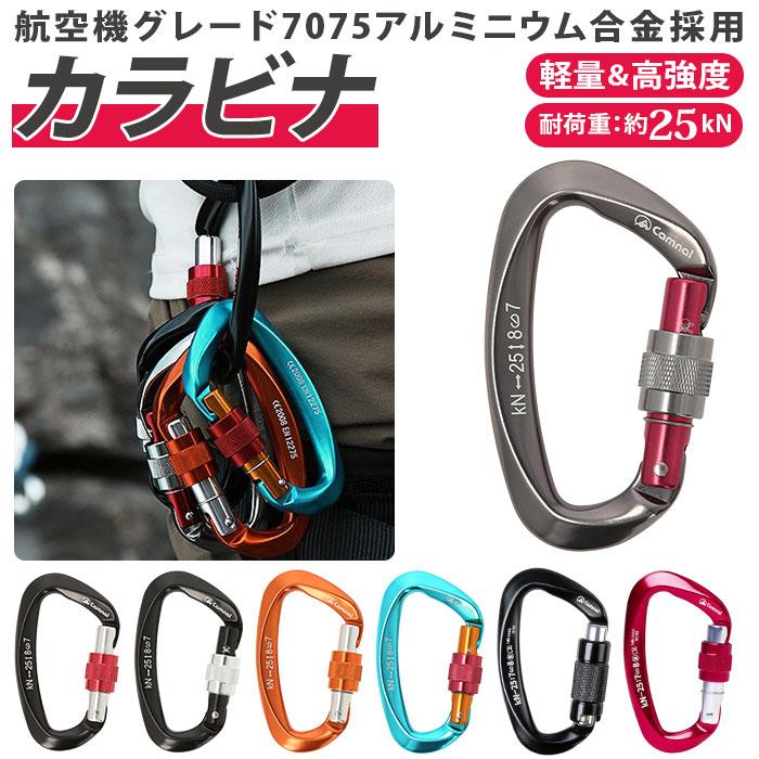 カラビナ おしゃれ 通販 ロック 登山 軽量 大 キーホルダー 大きめ D型 大型 キーリング アルミ合金 アルミニウム合金 Dカン アウトドア キャンプ 安全環 男性に人気