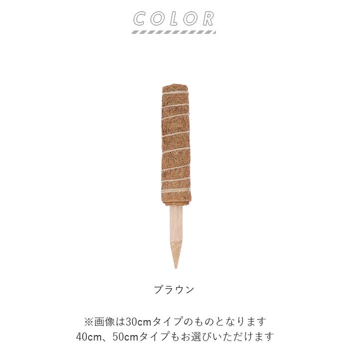 支柱 園芸 3サイズ  通販 鉢植え おしゃれ 植物支柱 観葉植物 ガーデニング ココナッツ支柱 モンステラ 添え木 つる性 ココナッツパームスティック 支柱 | ブランド登録なし | 11