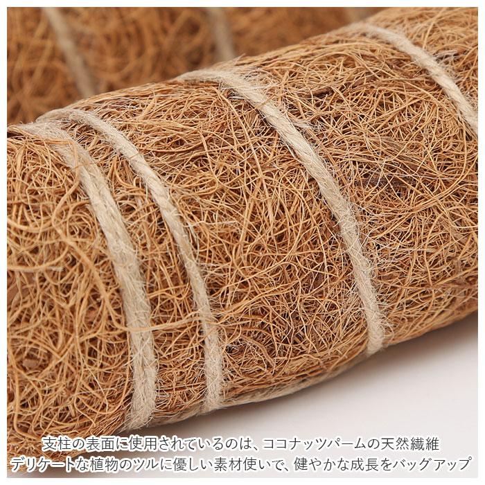 支柱 園芸 3サイズ  通販 鉢植え おしゃれ 植物支柱 観葉植物 ガーデニング ココナッツ支柱 モンステラ 添え木 つる性 ココナッツパームスティック 支柱 | ブランド登録なし | 07
