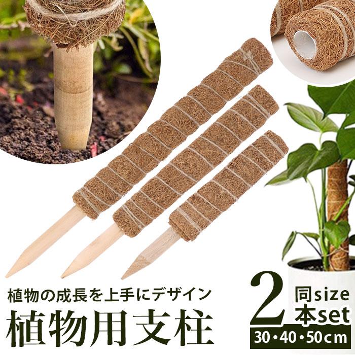 支柱 園芸 3サイズ 通販 鉢植え おしゃれ 植物支柱 観葉植物 ガーデニング ココナッツ支柱 モンステラ 添え木 つる性 ココナッツパームスティック 2セット 支柱 | ブランド登録なし