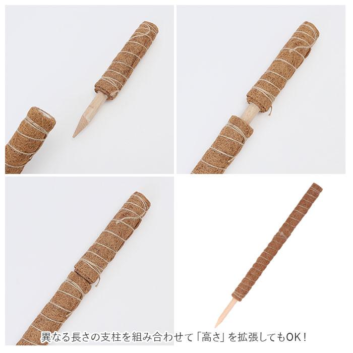 支柱 園芸 3サイズ 通販 鉢植え おしゃれ 植物支柱 観葉植物 ガーデニング ココナッツ支柱 モンステラ 添え木 つる性 ココナッツパームスティック 2セット 支柱 | ブランド登録なし | 10