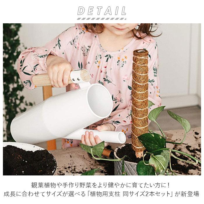 支柱 園芸 3サイズ 通販 鉢植え おしゃれ 植物支柱 観葉植物 ガーデニング ココナッツ支柱 モンステラ 添え木 つる性 ココナッツパームスティック 2セット 支柱 | ブランド登録なし | 01