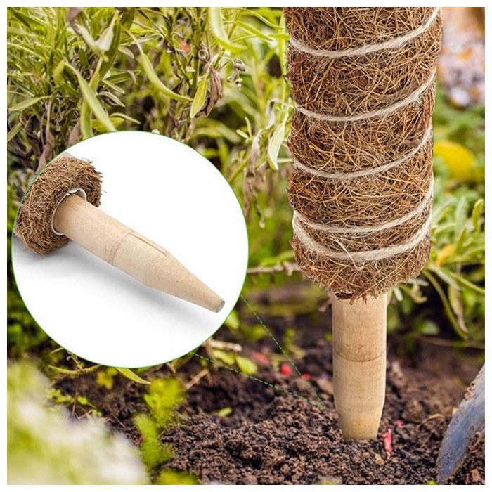 支柱 園芸 3サイズ 通販 鉢植え おしゃれ 植物支柱 観葉植物 ガーデニング ココナッツ支柱 モンステラ 添え木 つる性 ココナッツパームスティック 2セット 支柱 | ブランド登録なし | 04