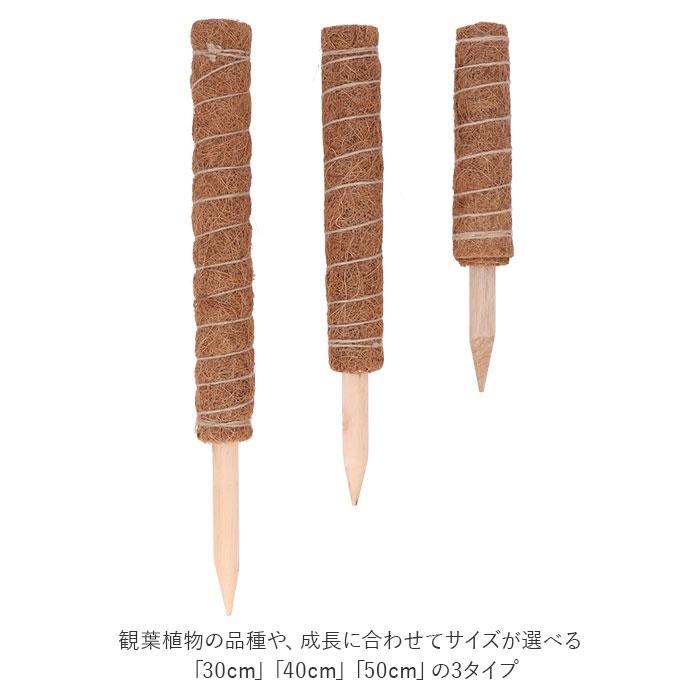 支柱 園芸 3サイズ 通販 鉢植え おしゃれ 植物支柱 観葉植物 ガーデニング ココナッツ支柱 モンステラ 添え木 つる性 ココナッツパームスティック 2セット 支柱 | ブランド登録なし | 05