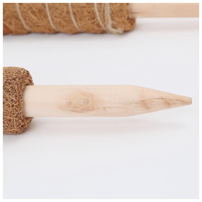 支柱 園芸 3サイズ 通販 鉢植え おしゃれ 植物支柱 観葉植物 ガーデニング ココナッツ支柱 モンステラ 添え木 つる性 ココナッツパームスティック 2セット 支柱 | ブランド登録なし | 09