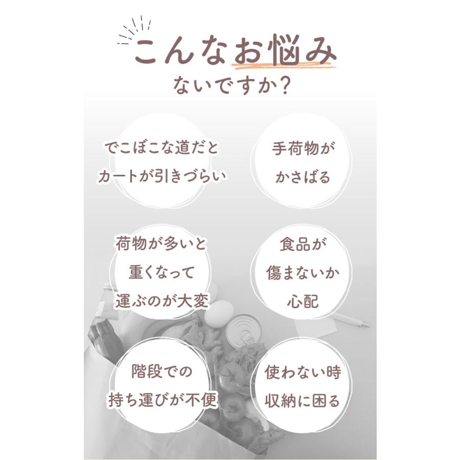 ショッピングカート cocoro ココロ 好評ショッピングカート 保冷 保温 コ・コロ おしゃれ 買い物カート 保冷バッグ 保冷カート キャリーバッグ キャリーバック | COCOLO | 07