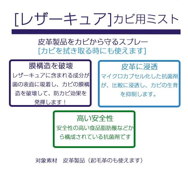 コロンブス カビ用ミスト 防カビ剤 レザーキュア スプレー 定番 防カビ剤 防カビ シューケア レザー カビ除去 抗菌 カビ防止 皮革 カビ対策 | COLUMBUS | 01