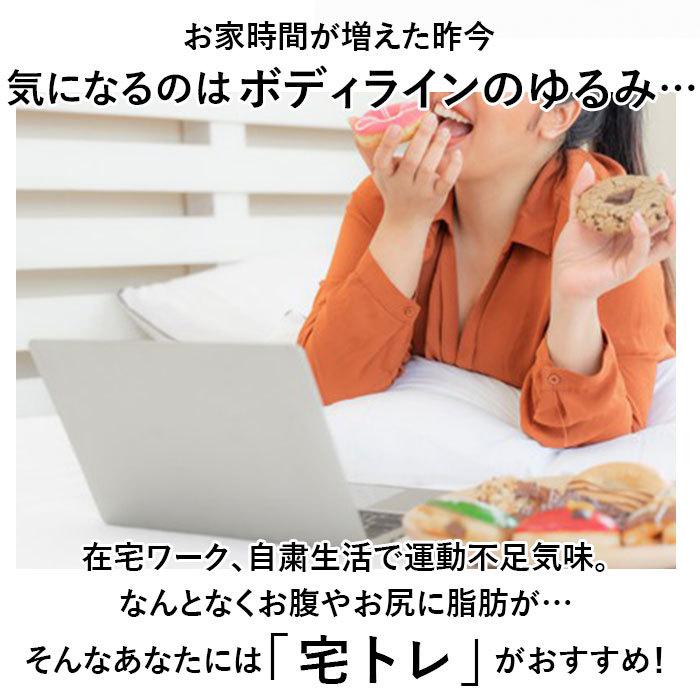 体幹 スリッパ 好評 コロン ソールバランス 体幹トレーニング アルファックス バランス ダイエットスリッパ 健康サンダル 健康スリッパ レディース 室内 体幹 | ブランド登録なし | 01