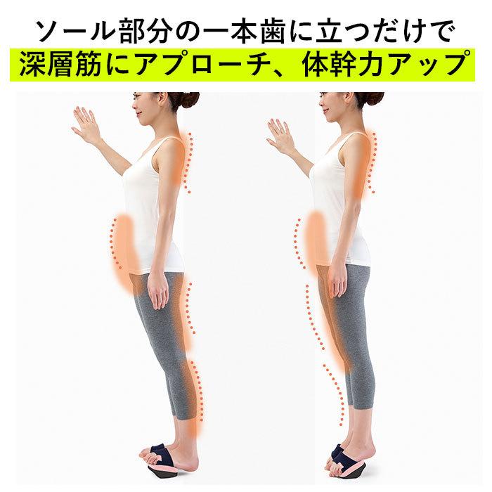 体幹 スリッパ 好評 コロン ソールバランス 体幹トレーニング アルファックス バランス ダイエットスリッパ 健康サンダル 健康スリッパ レディース 室内 体幹 | ブランド登録なし | 04