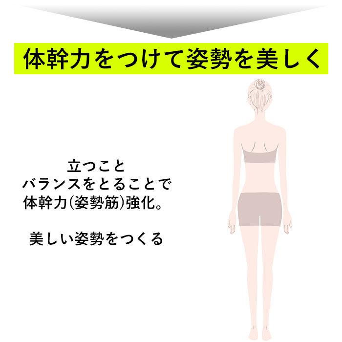 体幹 スリッパ 好評 コロン ソールバランス 体幹トレーニング アルファックス バランス ダイエットスリッパ 健康サンダル 健康スリッパ レディース 室内 体幹 | ブランド登録なし | 06