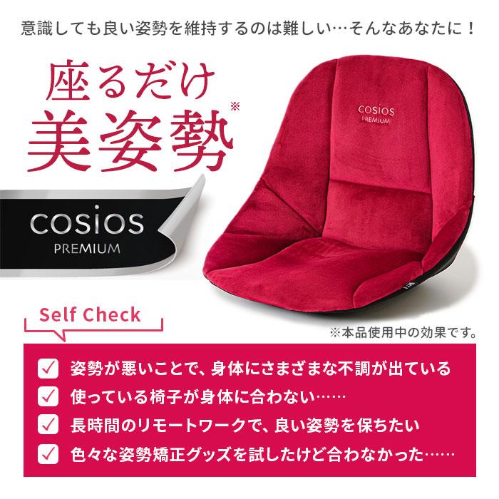 姿勢矯正クッション 赤 楽天市場】骨盤矯正 チェア 椅子 姿勢矯正 クッション 骨盤