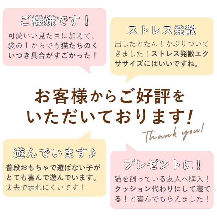 猫 おもちゃ 魚 一人遊び ネコ ねこ ぬいぐるみ 抱き枕 蹴るおもちゃ リアル お魚 噛む 歯 クリーニング 運動不足 ストレス 猫 |  | 04
