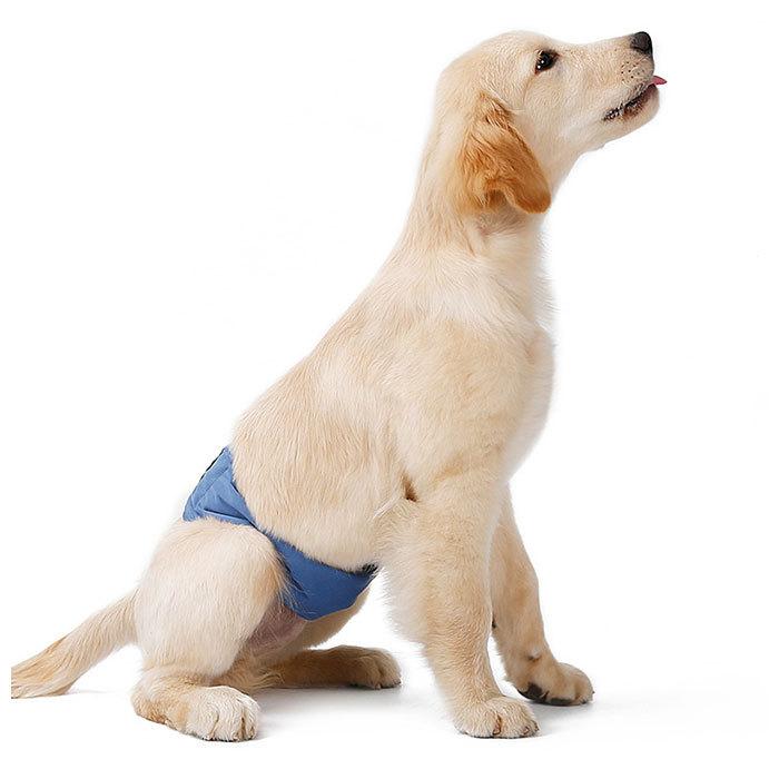 マナーベルト 犬 オス 通販 男の子 布 ポリエステル マーキング ドッグウェア 犬の服 小型犬 中型犬 大型犬 シニア犬 介護 お出かけ 犬用品 グッズ マナーベルト | BACKYARD FAMILY | 05