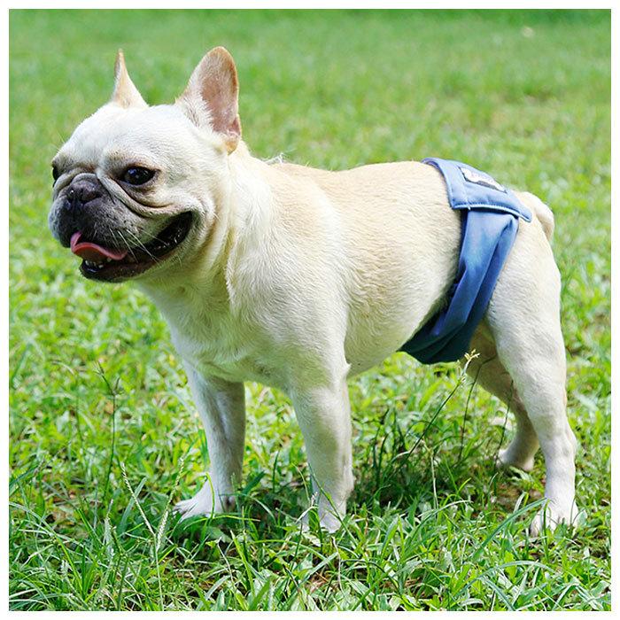 マナーベルト 犬 オス 通販 男の子 布 ポリエステル マーキング ドッグウェア 犬の服 小型犬 中型犬 大型犬 シニア犬 介護 お出かけ 犬用品 グッズ マナーベルト | BACKYARD FAMILY | 06