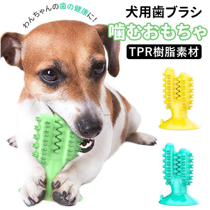 犬 噛む おもちゃ 通販 ペット用品 玩具 オモチャ ストレス解消 歯ブラシ 歯茎マッサージ 小型犬 中型犬 クリーニング 長持ち ペットグッズ かわいい Backyard Family 通販 Paypayモール