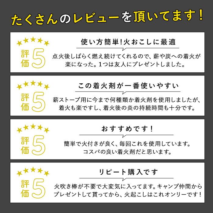 着火剤 マッチ型 3個セット 好評 ファイヤーライターズ FIRE LIGHTERS 20本入り ×3 薪ストーブ キャンプ アウトドア BBQ バーベキュー 火起こし 道具  着火剤 |  | 03