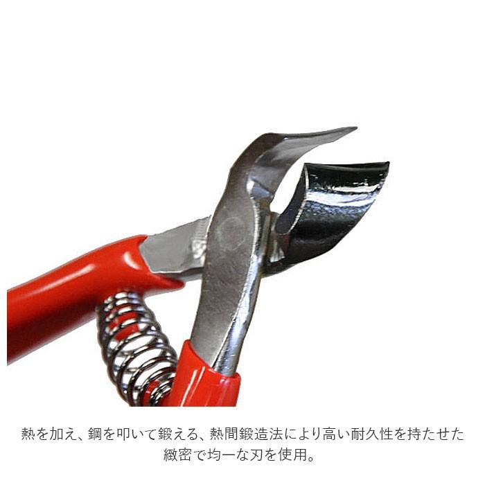 爪切り 介護用 通販 つめきり 看護 爪切りニッパー 介護用つめ切り ニッパー型爪切り 爪やすり付 グリップ付き 巻き爪 陥入爪 斜刃 使いやすい 爪切り | ブランド登録なし | 03