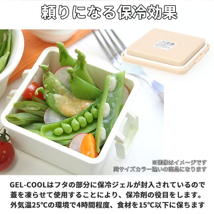 1段 弁当箱 220ml 保冷 通販 お弁当箱 ランチボックス 一段 １段 GEL-COOL ジェルクール square スクエア S 220 ジェラート plain プレーン お弁当 ランチ 1段 | GEL-COOL | 04