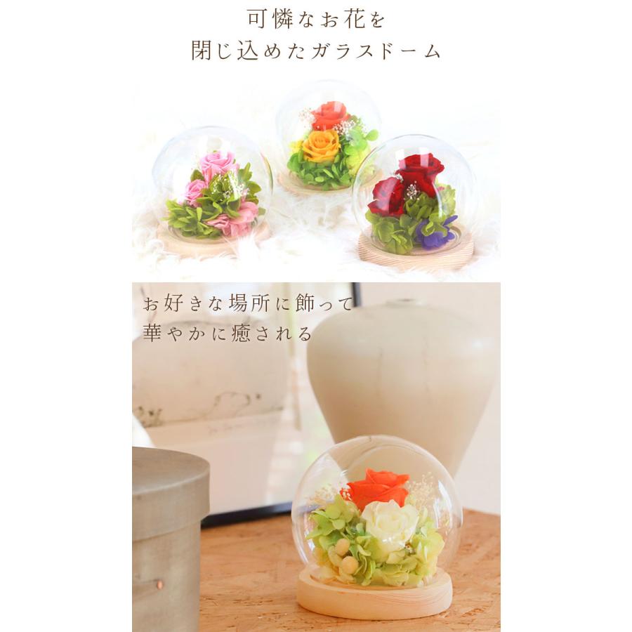 プリザーブドフラワー ガラスドーム 通販 フラワーアレンジメント