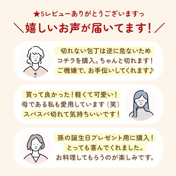 子供用 包丁まな板シートセット 通販 まな板 まないた シート キッズナイフ 軽い 薄い ソフトタイプ こども 子ども 小学生 ジュニア キッズ かわいい 子供用 | ブランド登録なし | 05