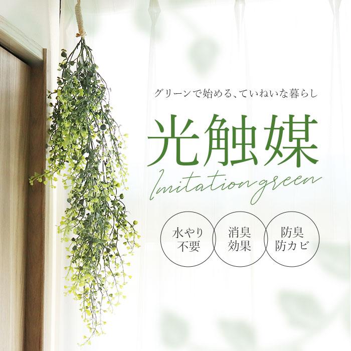 光触媒 フェイクグリーン 通販 観葉植物 フェイク グリーンブッシュ CT触媒 吊り下げ ハンギング 消臭 抗菌 防汚 空気清浄 イミテーショングリーン 光触媒 | ブランド登録なし | 05
