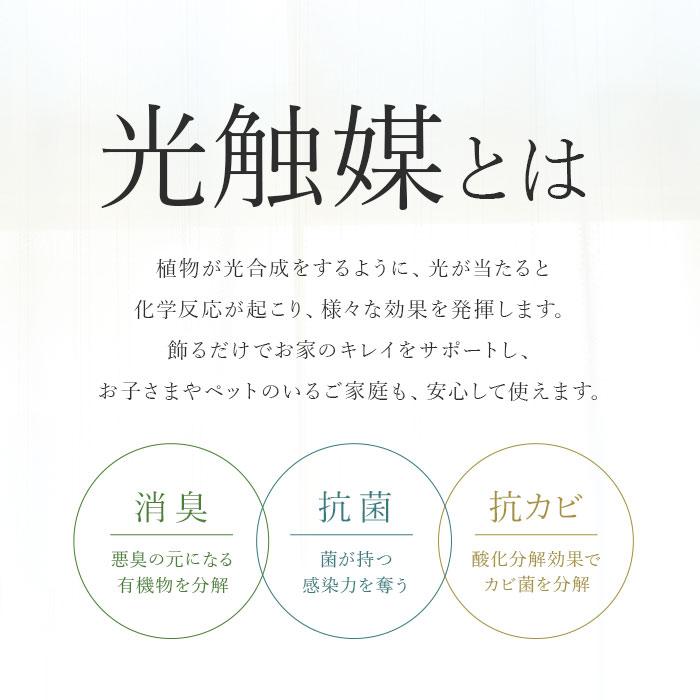 光触媒 フェイクグリーン 通販 観葉植物 フェイク グリーンブッシュ CT触媒 吊り下げ ハンギング 消臭 抗菌 防汚 空気清浄 イミテーショングリーン 光触媒 | ブランド登録なし | 07