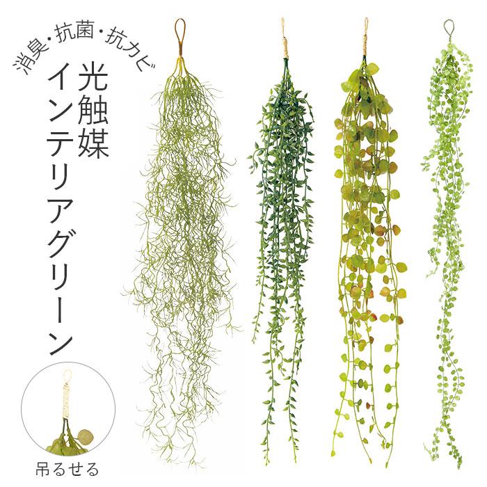 光触媒 フェイクグリーン 通販 壁掛け イミテーショングリーン おしゃれ 壁 インテリアプランツ 消臭 抗菌 観葉植物 グリーンブッシュ 造花 雑貨 吊り下げ :green447:BACKYARD FAMILY ママタウン - 通販 - Yahoo!ショッピング 光触媒 フェイクグリーン 通販 壁掛け イミテーショングリーン おしゃれ 壁 インテリアプランツ 消臭 抗菌 観葉植物 グリーンブッシュ 造花 雑貨 吊り下げ :green447:BACKYARD FAMILY ママタウン - 通販 - Yahoo!ショッピング