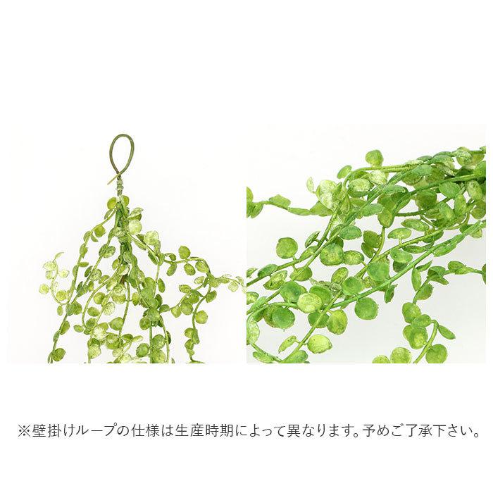 光触媒 フェイクグリーン 通販 壁掛け イミテーショングリーン おしゃれ 壁 インテリアプランツ 消臭 抗菌 観葉植物 グリーンブッシュ 造花 雑貨 吊り下げ :green447:BACKYARD FAMILY ママタウン - 通販 - Yahoo!ショッピング 光触媒 フェイクグリーン 通販 壁掛け イミテーショングリーン おしゃれ 壁 インテリアプランツ 消臭 抗菌 観葉植物 グリーンブッシュ 造花 雑貨 吊り下げ :green447:BACKYARD FAMILY ママタウン - 通販 - Yahoo!ショッピング