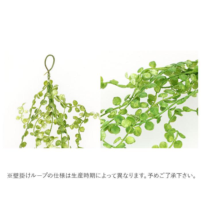 光触媒 フェイクグリーン 通販 壁掛け イミテーショングリーン おしゃれ 壁 インテリアプランツ 消臭 抗菌 観葉植物 グリーンブッシュ 造花 雑貨 光触媒 |  | 10