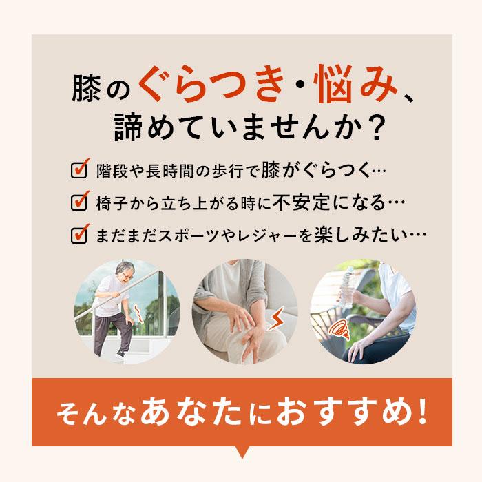 タナック タフシロン 人工筋肉膝サポーター ネクスト 膝サポーター ひざサポーター シリコンサポーター タフシロンネクスト 日本製 歩行 補助 タナック |  | 02