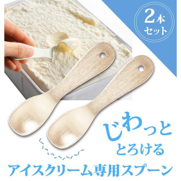 アイスクリームスプーン 熱伝導 2個セット アイススプーン さじ
